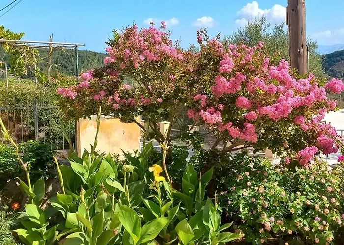 Traditional House Rifi