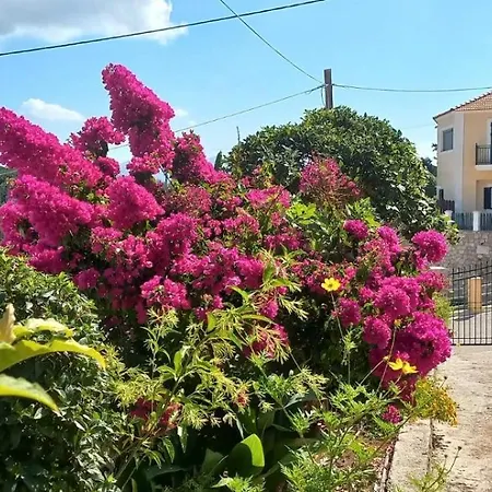 Traditional House Σπίτι διακοπών Rifi