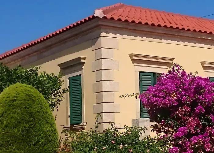 Traditional House